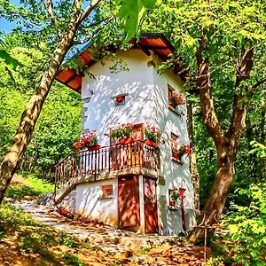 https://il-roccolino.it-lombardy.com